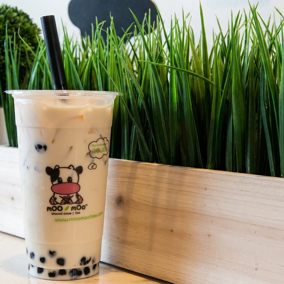 Iced milk tea with tapioca pearls in a Moo Moo branded cup, positioned beside a wooden planter filled with tall grass.